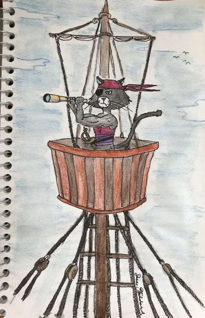 Albert the Cat Pirate