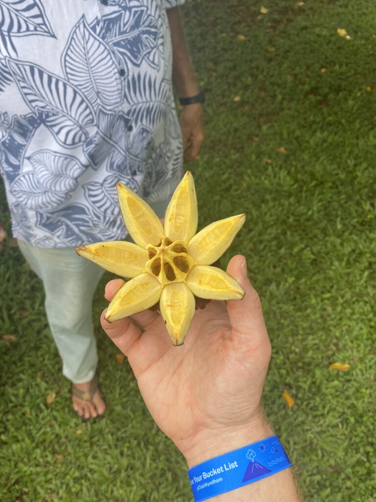 Farm tour plant example